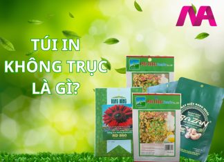 CÔNG NGHỆ IN KHÔNG TRỤC – GIẢI PHÁP BAO BÌ TỐI ƯU TỪ CÔNG TY TNHH BAO BÌ MAGENTA in không trục