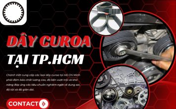 Dây curoa CHV cung cấp giải pháp đáng tin cậy cho các hệ thống truyền động