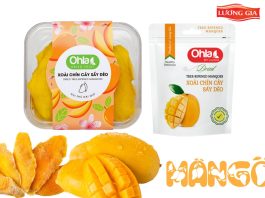 Vì Sao Dried Mango Trở Thành Món Snack Yêu Thích Trên Thế Giới?