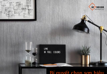 Bí quyết chọn sơn hiệu ứng đẹp bền và tiết kiệm chi phí