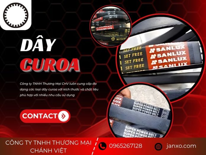 Dây curoa Dây Curoa