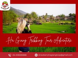 Strawberry Ha Giang Loop Presents Ha Giang Trekking Tour: Authentic Northern Adventure Ha Giang trekking tour